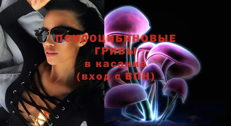 как найти   Кедровый  мега ТОР  Псилоцибиновые грибы Psilocybe 